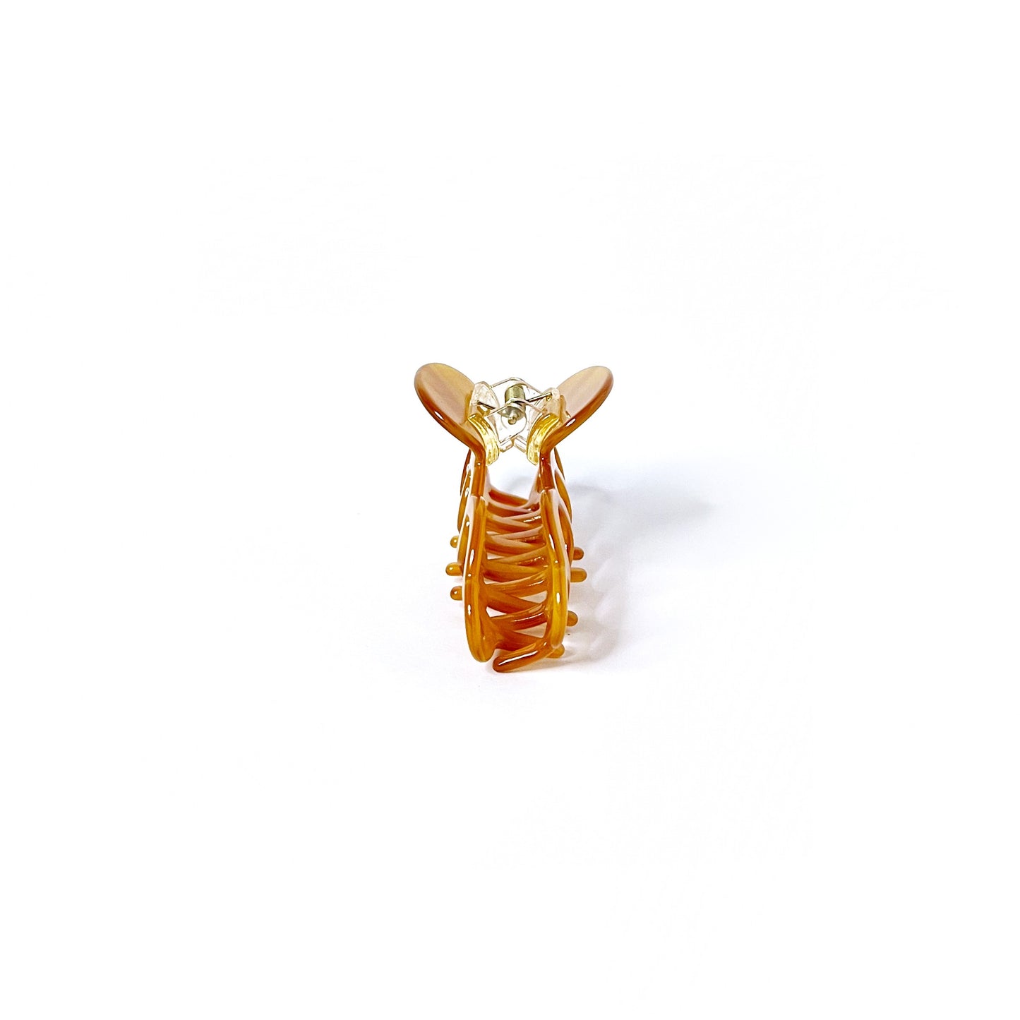 Amber Circles Nuvo Collection